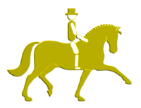 ICON Dressurpferd