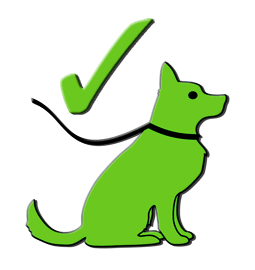 Hund an der Leine
